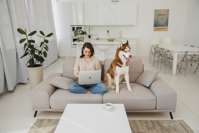 Aqui estão algumas dicas sobre como criar seu cachorro em um apartamento